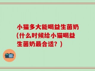 小猫多大能喝益生菌奶(什么时候给小猫喝益生菌奶最合适？)