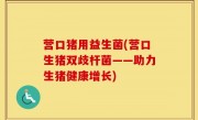 营口猪用益生菌(营口生猪双歧杆菌——助力生猪健康增长)