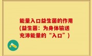 能量入口益生菌的作用(益生菌：为身体输送充沛能量的“入口”)