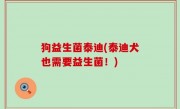 狗益生菌泰迪(泰迪犬也需要益生菌！)