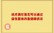 幼犬偶尔是否可以通过益生菌来改善健康状况