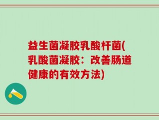 益生菌凝胶乳酸杆菌(乳酸菌凝胶：改善肠道健康的有效方法)