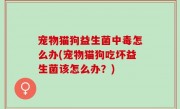 宠物猫狗益生菌中毒怎么办(宠物猫狗吃坏益生菌该怎么办？)