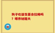 狗子吃益生菌会拉稀吗？喂养秘籍大