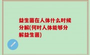 益生菌在人体什么时候分解(何时人体能够分解益生菌)