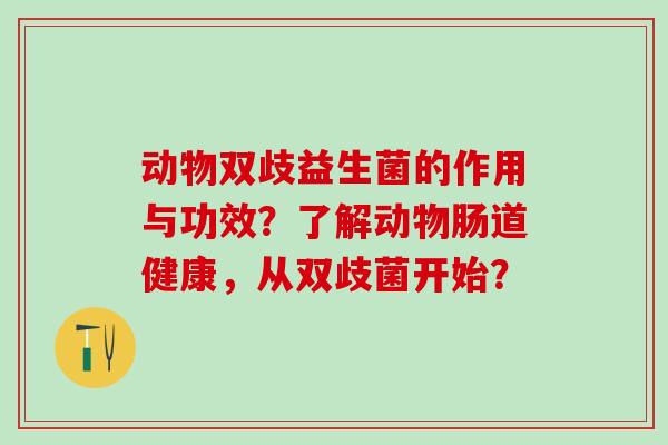 动物双歧益生菌的作用与功效？了解动物肠道健康，从双歧菌开始？