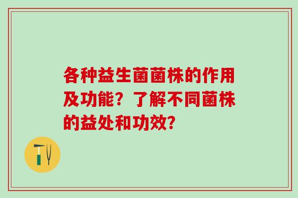 各种益生菌菌株的作用及功能？了解不同菌株的益处和功效？