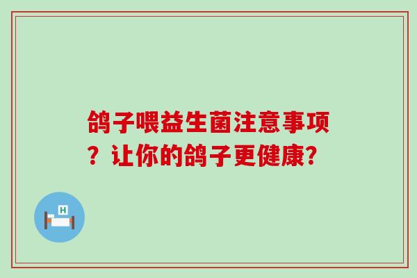 鸽子喂益生菌注意事项？让你的鸽子更健康？