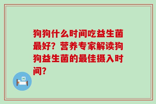 狗狗什么时间吃益生菌好？营养专家解读狗狗益生菌的佳摄入时间？