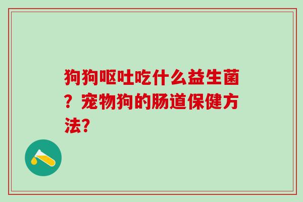 狗狗吃什么益生菌？宠物狗的肠道保健方法？