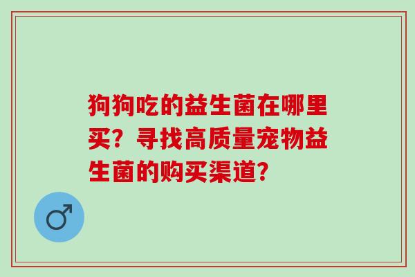 狗狗吃的益生菌在哪里买？寻找高质量宠物益生菌的购买渠道？