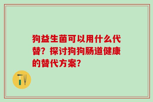 狗益生菌可以用什么代替？探讨狗狗肠道健康的替代方案？