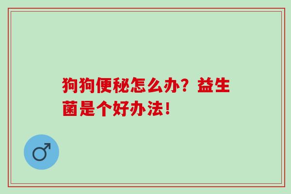 狗狗怎么办？益生菌是个好办法！