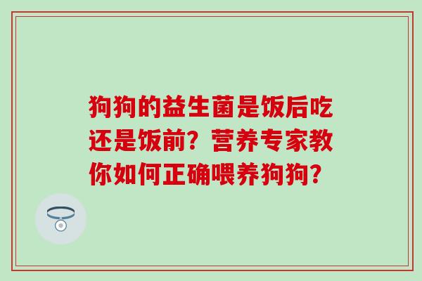 狗狗的益生菌是饭后吃还是饭前？营养专家教你如何正确喂养狗狗？