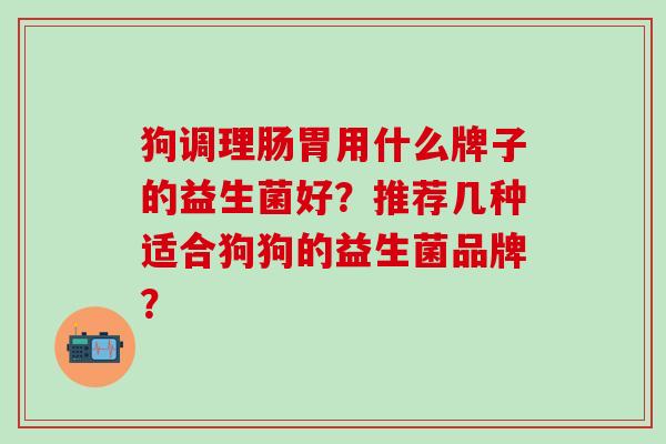 狗调理肠胃用什么牌子的益生菌好？推荐几种适合狗狗的益生菌品牌？