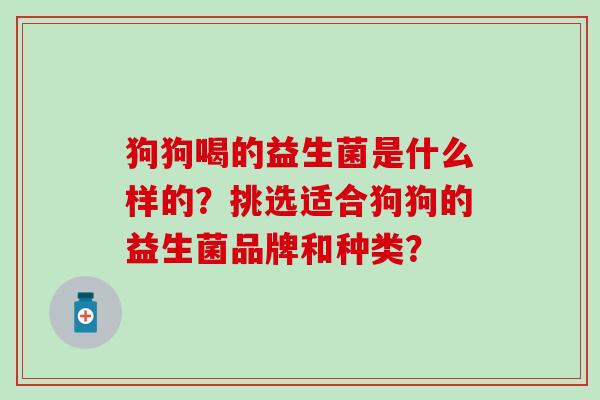 狗狗喝的益生菌是什么样的？挑选适合狗狗的益生菌品牌和种类？