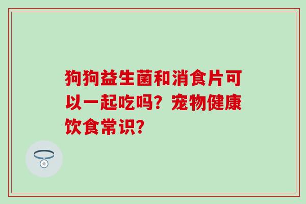 狗狗益生菌和消食片可以一起吃吗？宠物健康饮食常识？