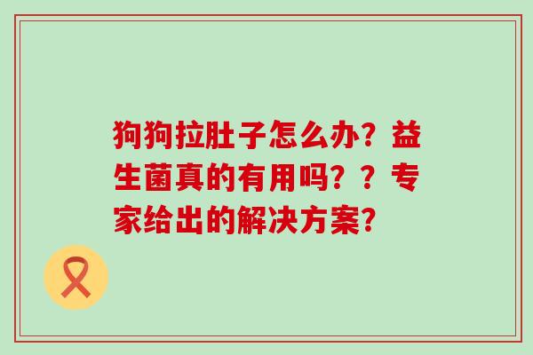 狗狗拉肚子怎么办？益生菌真的有用吗？？专家给出的解决方案？