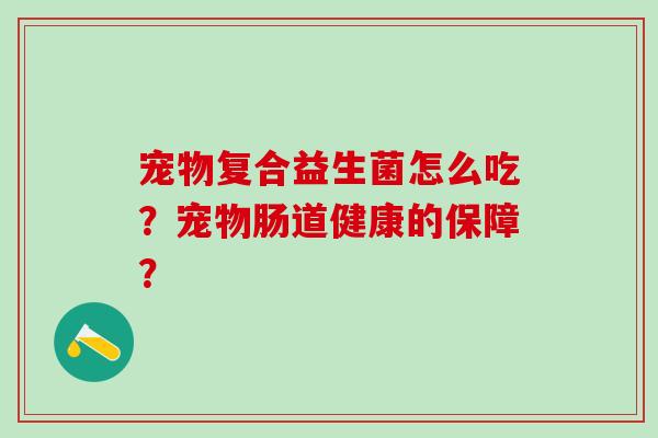 宠物复合益生菌怎么吃？宠物肠道健康的保障？