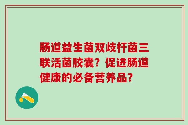 肠道益生菌双歧杆菌三联活菌胶囊？促进肠道健康的必备营养品？