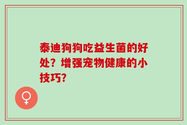 泰迪狗狗吃益生菌的好处？增强宠物健康的小技巧？