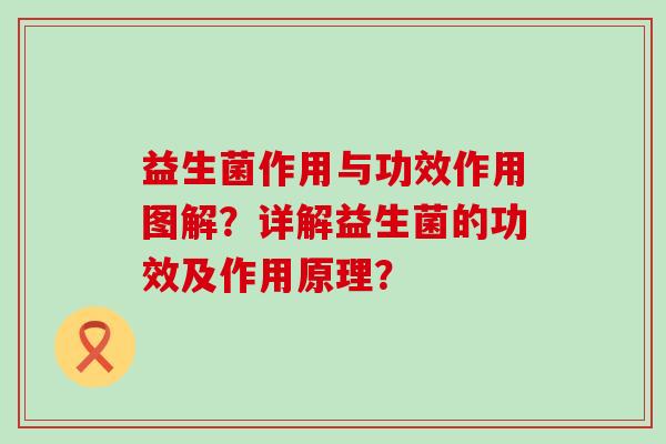 益生菌作用与功效作用图解？详解益生菌的功效及作用原理？