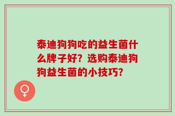 泰迪狗狗吃的益生菌什么牌子好？选购泰迪狗狗益生菌的小技巧？