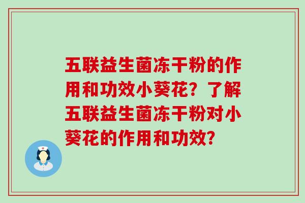 五联益生菌冻干粉的作用和功效小葵花？了解五联益生菌冻干粉对小葵花的作用和功效？