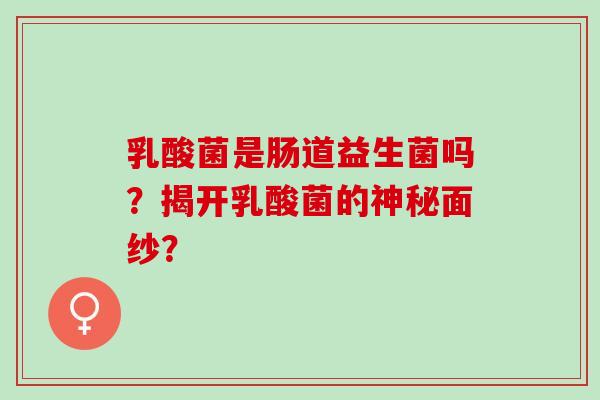 乳酸菌是肠道益生菌吗？揭开乳酸菌的神秘面纱？