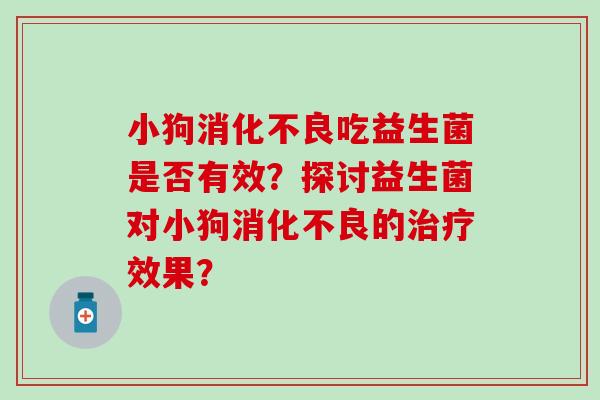 小狗吃益生菌是否有效？探讨益生菌对小狗的效果？