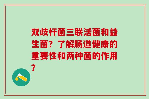 双歧杆菌三联活菌和益生菌？了解肠道健康的重要性和两种菌的作用？