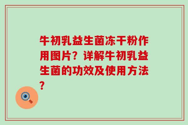 牛初乳益生菌冻干粉作用图片？详解牛初乳益生菌的功效及使用方法？