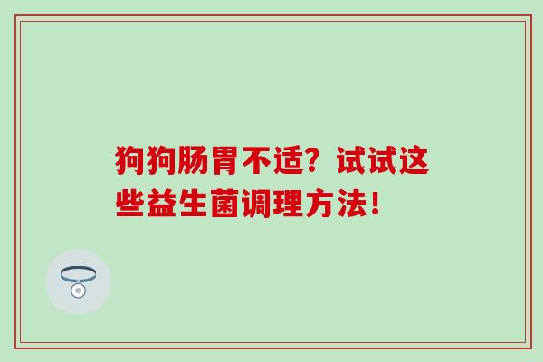 狗狗肠胃不适？试试这些益生菌调理方法！