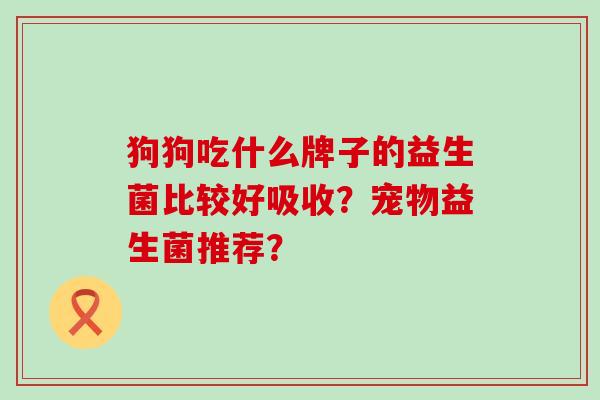 狗狗吃什么牌子的益生菌比较好吸收？宠物益生菌推荐？