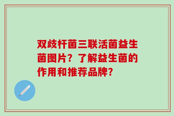 双歧杆菌三联活菌益生菌图片？了解益生菌的作用和推荐品牌？