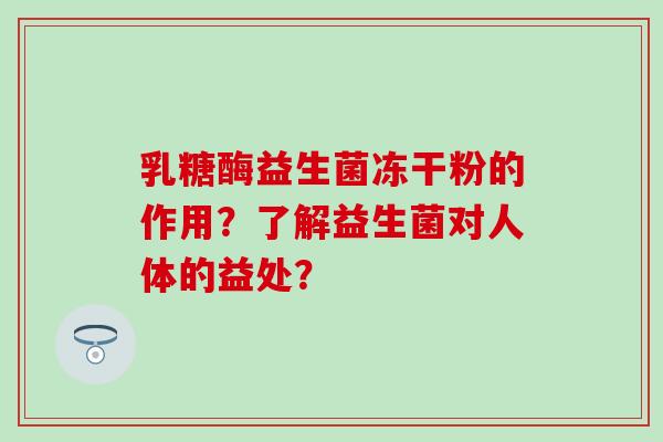 乳糖酶益生菌冻干粉的作用？了解益生菌对人体的益处？