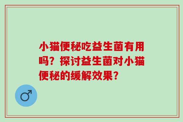 小猫吃益生菌有用吗？探讨益生菌对小猫的缓解效果？