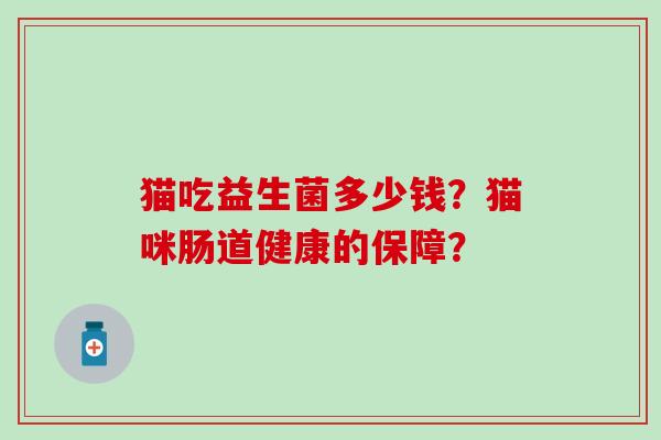 猫吃益生菌多少钱？猫咪肠道健康的保障？