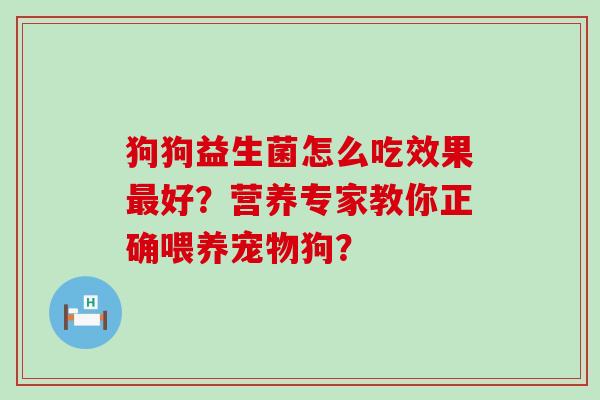 狗狗益生菌怎么吃效果好？营养专家教你正确喂养宠物狗？