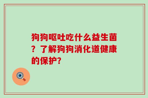 狗狗吃什么益生菌？了解狗狗消化道健康的保护？