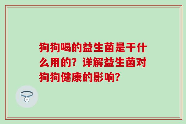 狗狗喝的益生菌是干什么用的？详解益生菌对狗狗健康的影响？