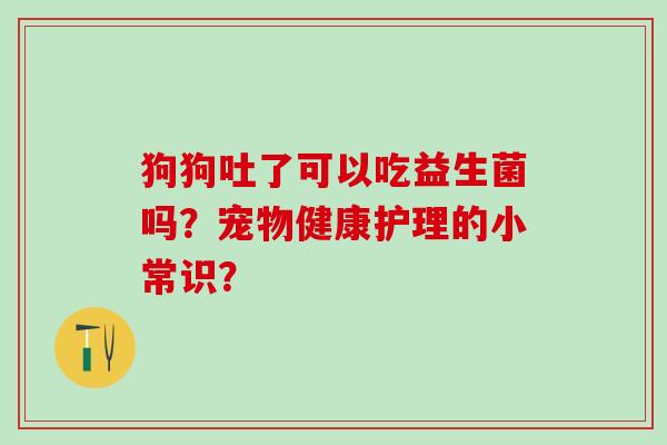 狗狗吐了可以吃益生菌吗？宠物健康护理的小常识？