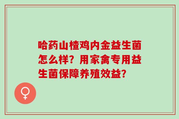 哈药山楂鸡内金益生菌怎么样？用家禽专用益生菌保障养殖效益？