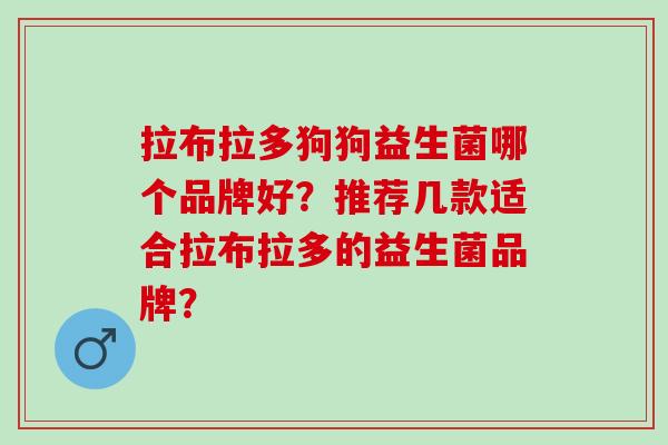 拉布拉多狗狗益生菌哪个品牌好？推荐几款适合拉布拉多的益生菌品牌？