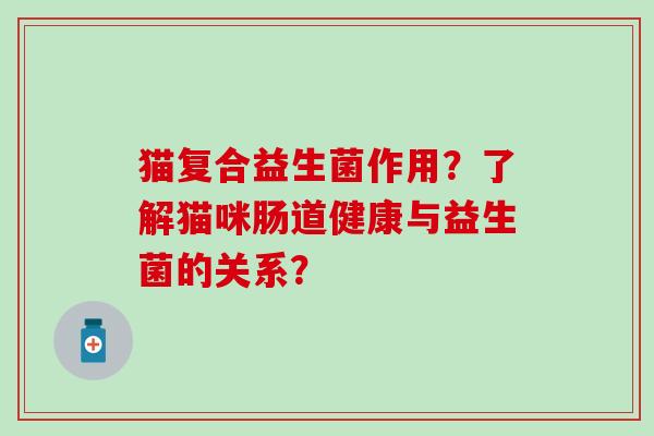 猫复合益生菌作用？了解猫咪肠道健康与益生菌的关系？