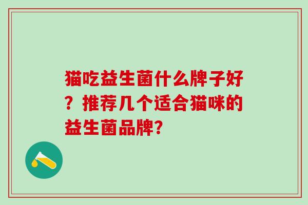 猫吃益生菌什么牌子好？推荐几个适合猫咪的益生菌品牌？