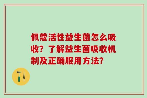 佩蔻活性益生菌怎么吸收？了解益生菌吸收机制及正确服用方法？