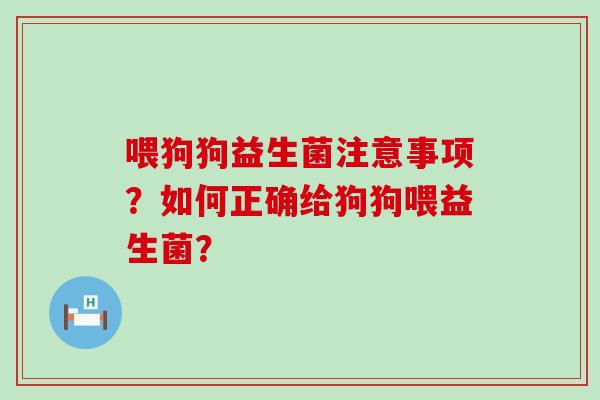 喂狗狗益生菌注意事项？如何正确给狗狗喂益生菌？