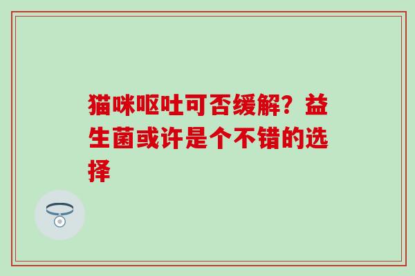 猫咪可否缓解？益生菌或许是个不错的选择