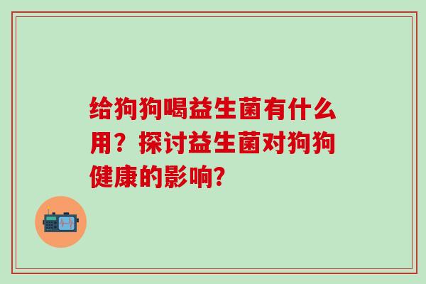 给狗狗喝益生菌有什么用？探讨益生菌对狗狗健康的影响？